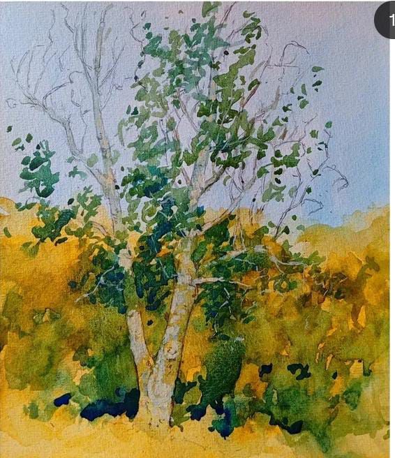 Imatge de les presentacions